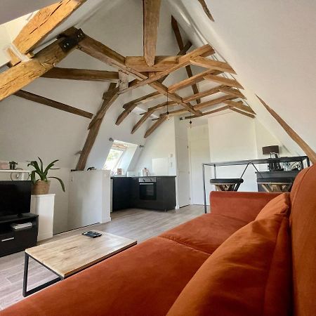 Appartement Cosy Vue Sur Le Vignoble サンセール エクステリア 写真