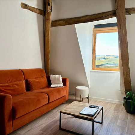 Appartement Cosy Vue Sur Le Vignoble サンセール エクステリア 写真